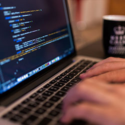 湖人现场这反差也太大了